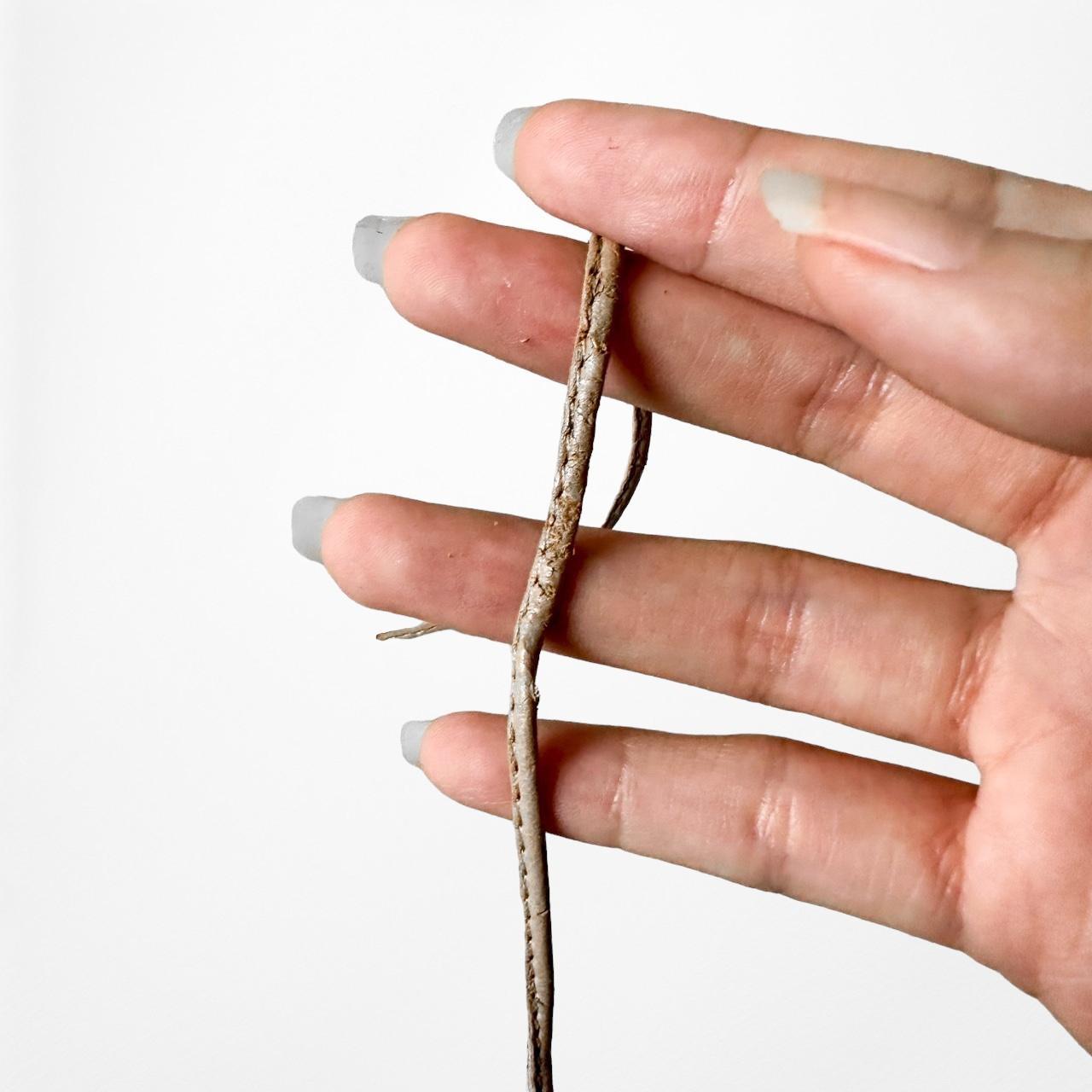 Zara Nude Beige Brown Faux Leather Lace Up Ballet Flats Size 6